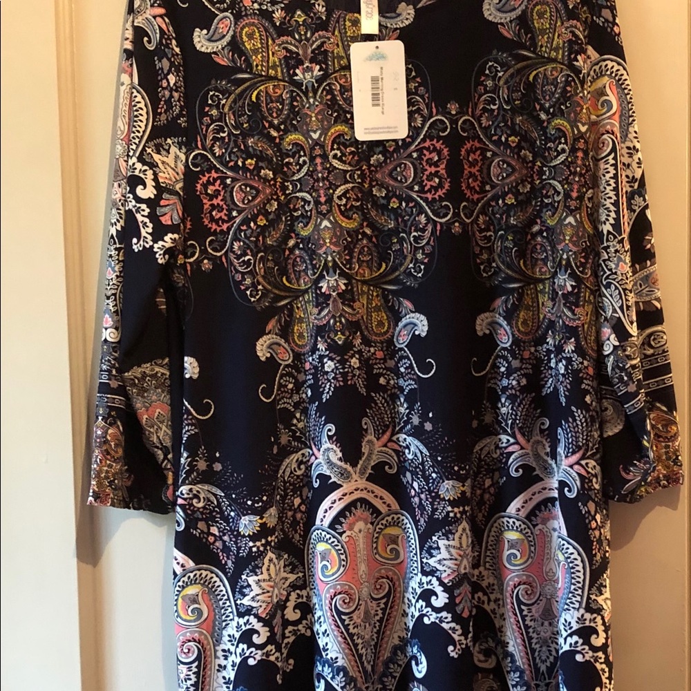 XL dress from Paisley Grace.